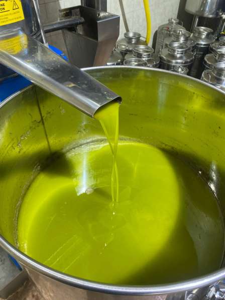 Органическое оливковое масло первого холодного отжима Италия