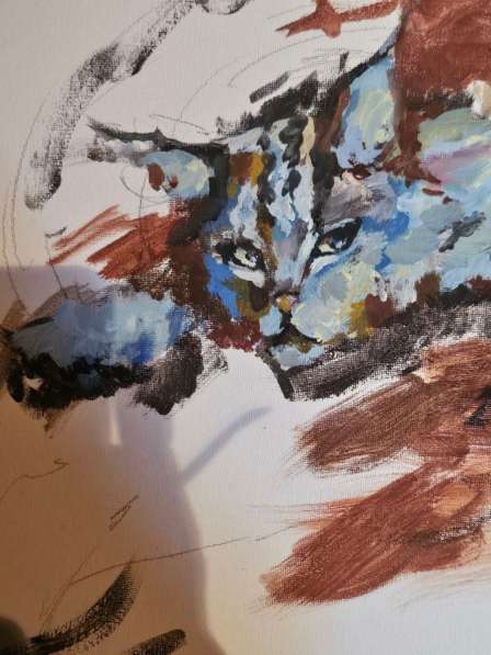 Портреты ваших домашних животных в Самаре