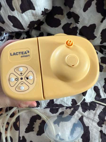 Молокосос в Калининграде фото 6