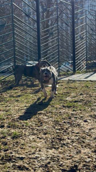 Американский були в Москве