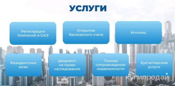 Юридические и бухгалтерские услуги в ОАЭ в Красноярске