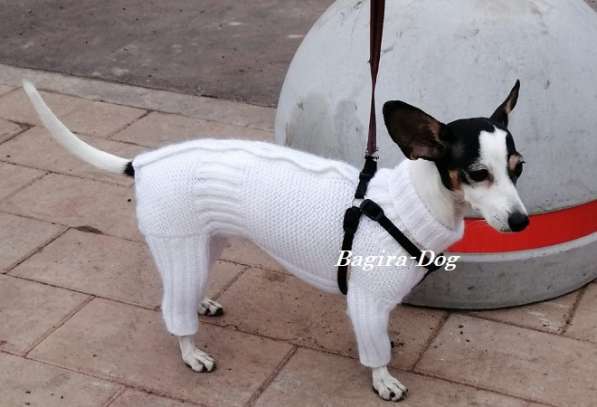 Вязаная одежда для собак в Москве фото 9