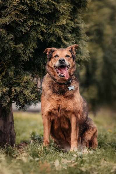 Рада ищет дом в Москве фото 12