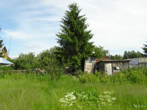 Продам дачу в Санкт-Петербурге фото 19