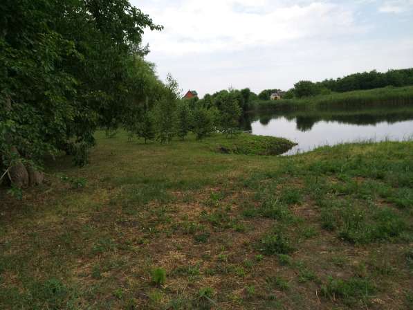 Дом на берегу реки в Краснодаре фото 11