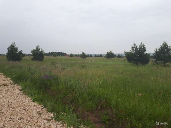 Участок 15 соток в Туле фото 26