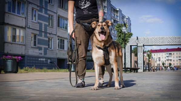 Нежнющий Купер в Москве фото 35