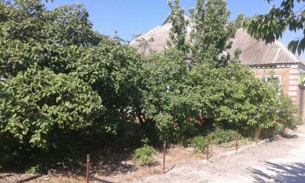 Продается домовладение в Краснодаре фото 7