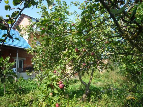 Кирпичный дом в г. Козельске, Калужской обл, 270 км. от МКАД в Подольске фото 3