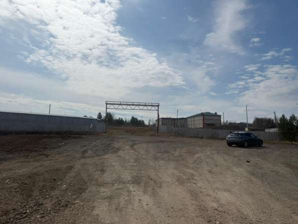 Ферма / Конюшня / Эко-хозяйство в Красноярске фото 12