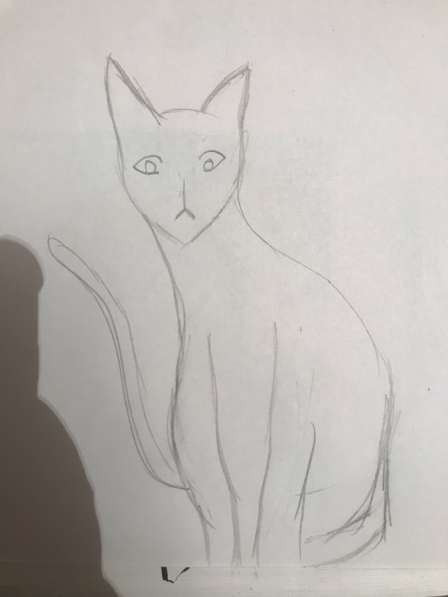 Рисую животных на заказ в Москве