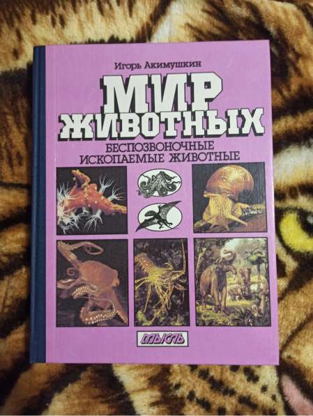 Книги Твин Пикс Честь самурая Джером Кинг Перов в фото 6