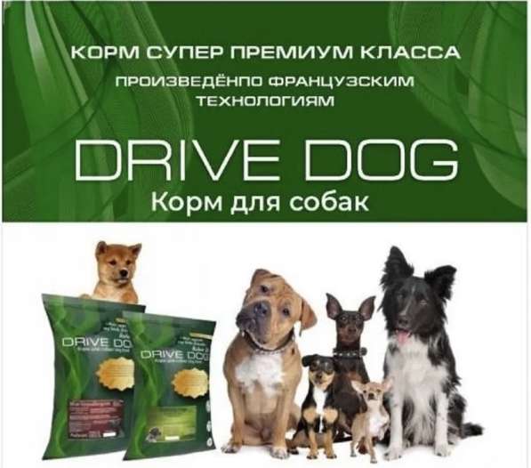 Корм супер премиум класса в Перми