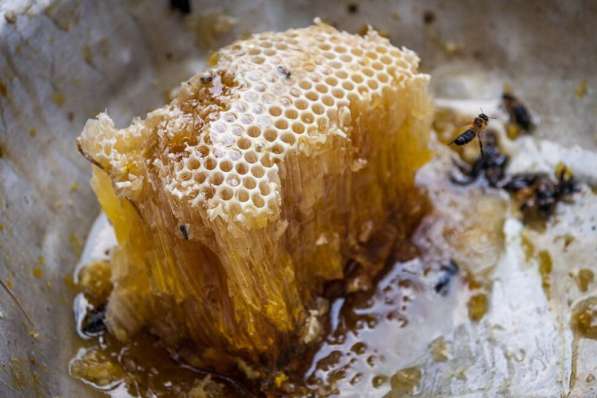Натуральный горный мёд с личной пасеки в Уфе фото 8