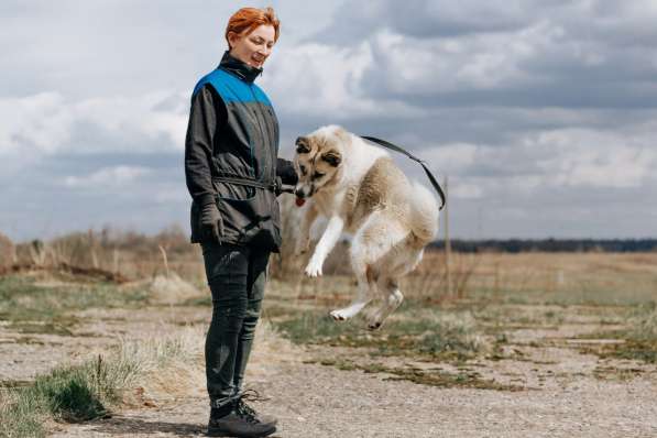 Суперактивная Халва в Москве фото 34