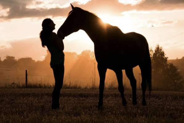 Фотосесси с лошадью в Смоленске