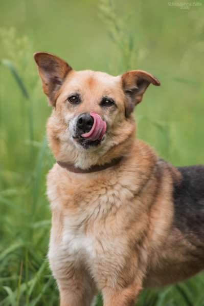 Харизматичный Марк ищет дом в Москве фото 20