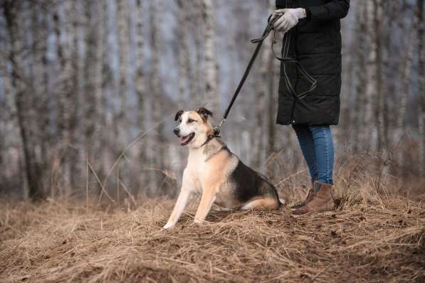 Молодой энергичный Майор ищет семью в Москве фото 59