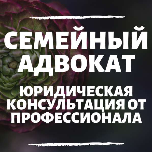 СЕМЕЙНЫЕ СПОРЫ В СУДЕ в Москве фото 4