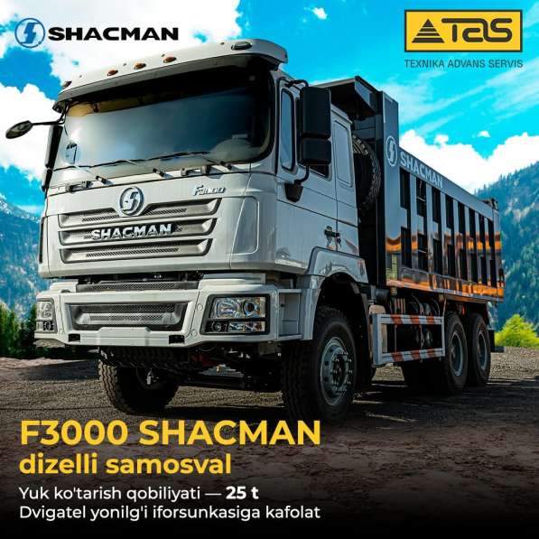 SHACMAN dan 25 tonna F3000