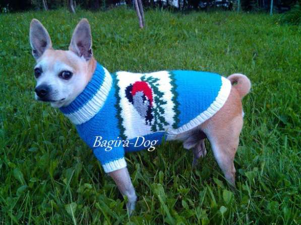 Свитера для собак ручной работы в Москве фото 49