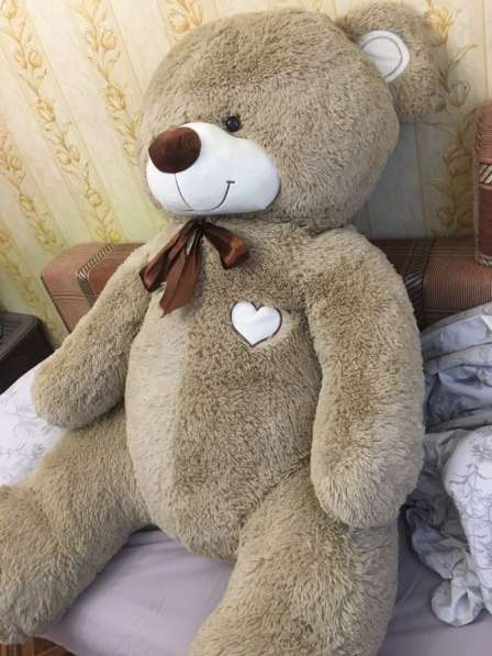 Плюшевый медведь в Санкт-Петербурге фото 3