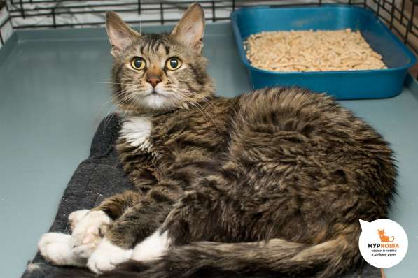 Почему Рекс решил уйти из шоу-бизнеса в Москве фото 4