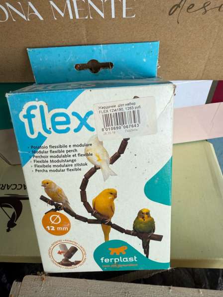 Для попугаев в Калининграде