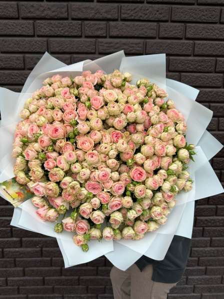 51шт кустовая роза 15 000₽
