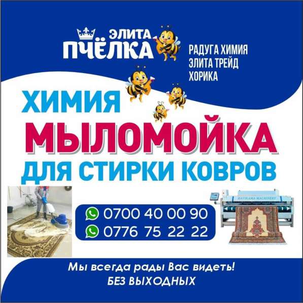 Мыломойка для стирки ковров. Химия