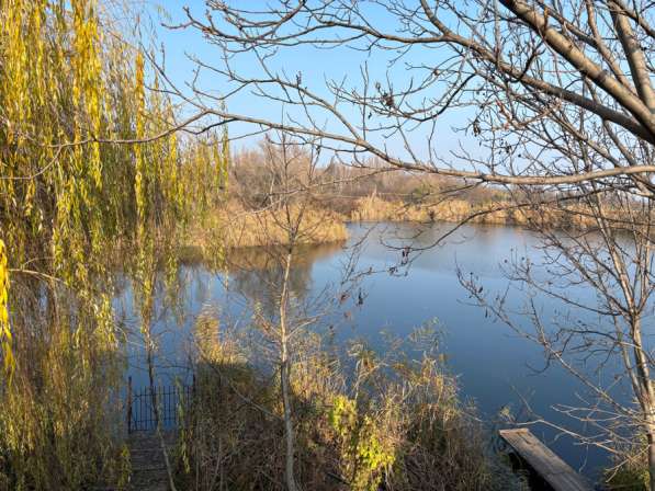 Домик у озера в Железноводске фото 5