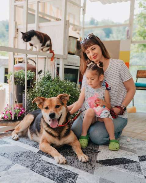 Толстушка ждёт родителей! в Москве фото 4