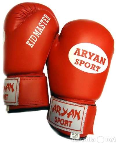 Перчатки боксерские Kid Master 6 унций Aryan Sport ARS 237