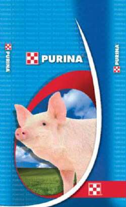 БВМД Универсальный для свиней 15% Purina