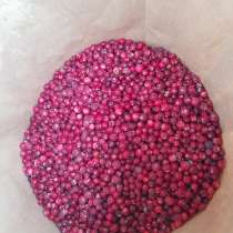 Ягода Клюква cranberry, 蔓越莓是, в Санкт-Петербурге
