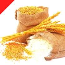 Мука оптом 500 тонн в сутки с доставкой, в Нижнем Новгороде