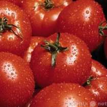 томатную пасту, в Краснодаре