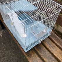 Клетка, в Трехгорном