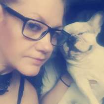 Ищу сыночка французского бульдожку, в Санкт-Петербурге