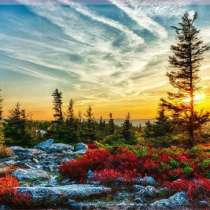 Картины и постеры для дома Магазин-Картин, в Тольятти