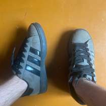Кеды adidas campus, в Абакане