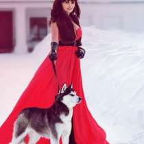 Щеночки хаски черно-белые голубоглазые и разноглазые, в Нерехте