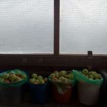 Место для отдыха, в Красноярске