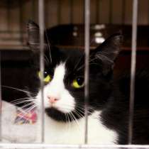 Осторожная Есения ищет своего человека, в Москве