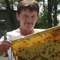 Разнотравье лесо-луговое мед урожая 2019, в Бийске