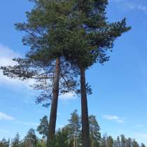 Ищу интересного инвестора (партнера), в Санкт-Петербурге