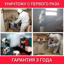 Уничтожение тараканов, клопов, муравьев, насекомых, в Москве