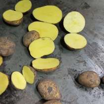 Продам картофель оптом, в Ростове-на-Дону