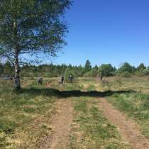 Участок 10с. ДНТ Вишневый сад (д. Лисавы), в Переславле-Залесском