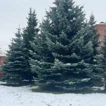 Ищу квартиру на долгое время, в Санкт-Петербурге